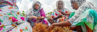 Women working with seaweed.