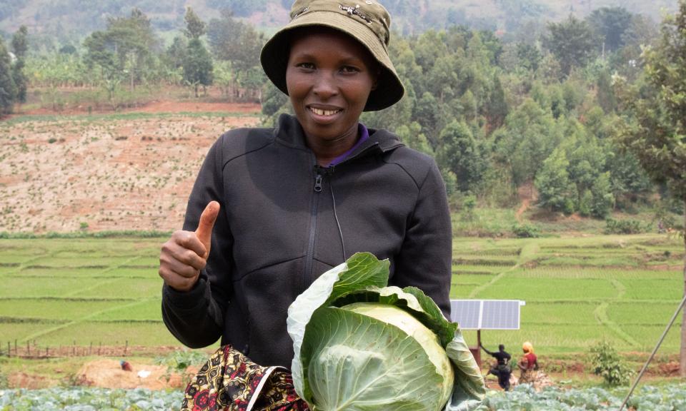 Rural woman farmer holding cabbage