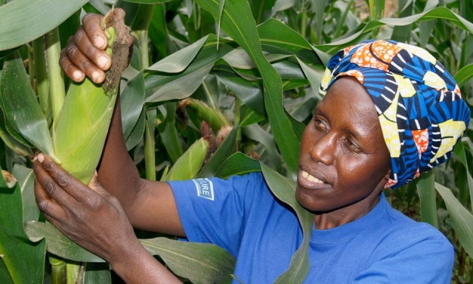 woman collecting produce