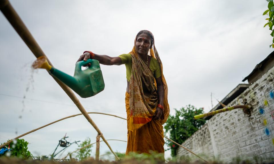 A woman wearing a saree and a green blouse, is watering plants with a green plastic watering can in an outdoor setting.