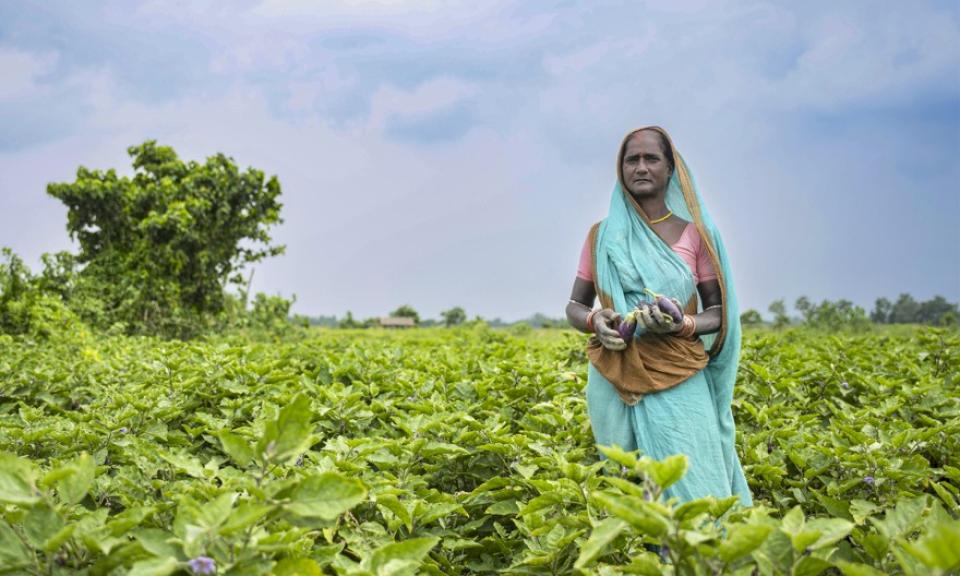 Radha in the fields. Photo: UN Women/Ishan Maharjan