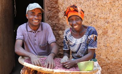 A man and a woman count a harvest of beans