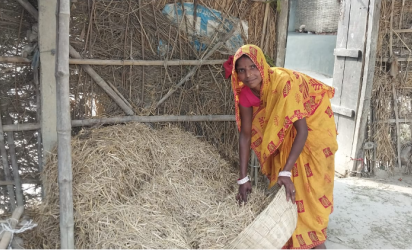A woman scoops dried grass into a basket