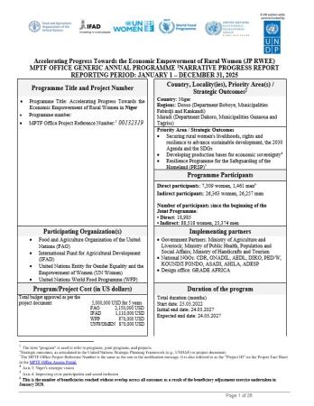 Niger 2025 report cover page
