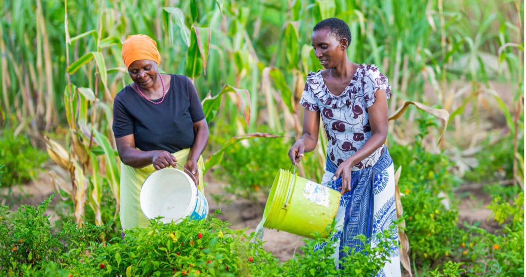 Two women watering crops